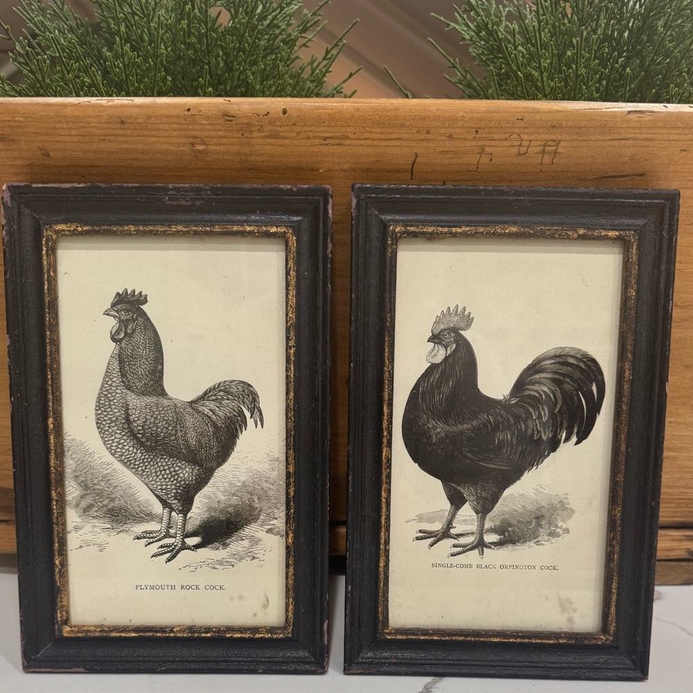 Set of 2 RAZ rooster prints with distressed frame